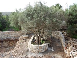 Stone Planters, Wall & Bench